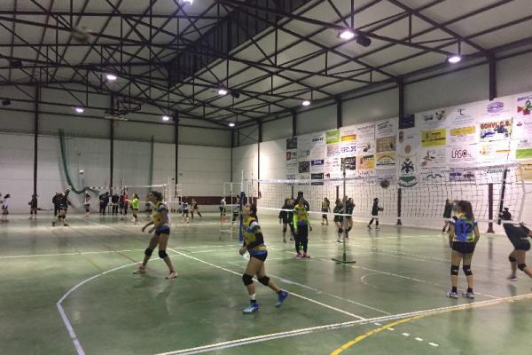 imagen008_20170114_1936098819