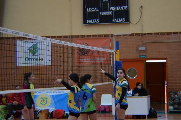 dsc_0063_20170122_1119282672