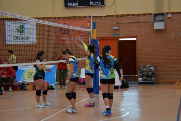 dsc_0075_20170122_1299072532