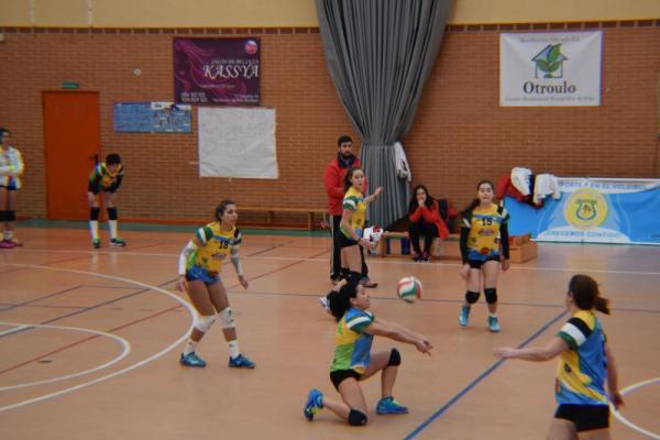 dsc_0129_20170124_1198793590