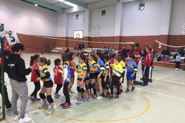 imagen_03_20180120_1100171840