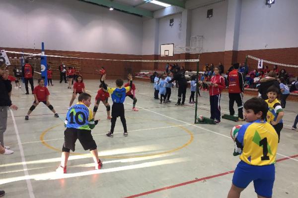 imagen_04_20180120_1373181418