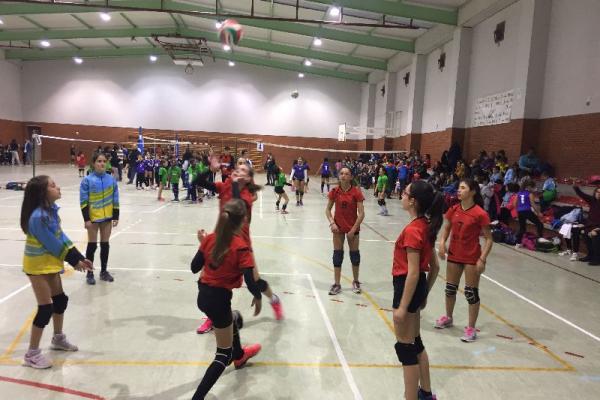 imagen_05_20180120_1546172133