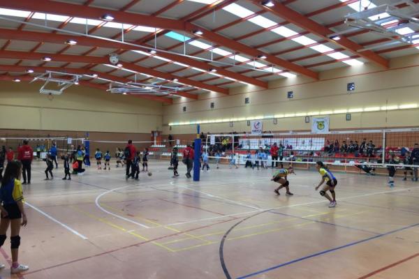 imagen_03_20180226_1718278564