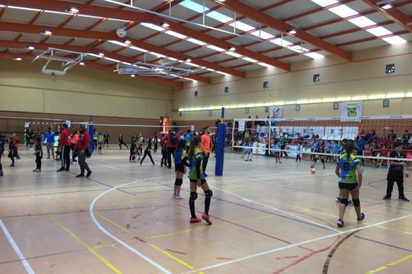 imagen_04_20180226_2036216189