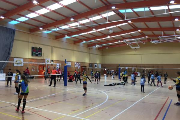 imagen_05_20180226_1507092999