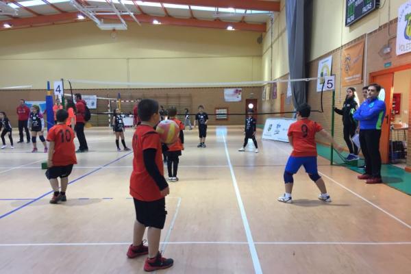 imagen_06_20180226_1409202256