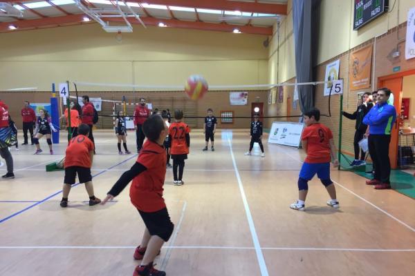 imagen_07_20180226_1703696466