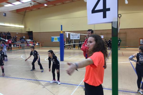 imagen_11_20180226_1576005216