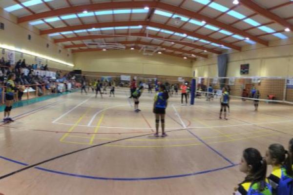 imagen_13_20180226_1885044451