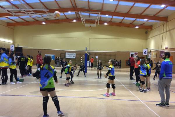 imagen_15_20180226_1281645723