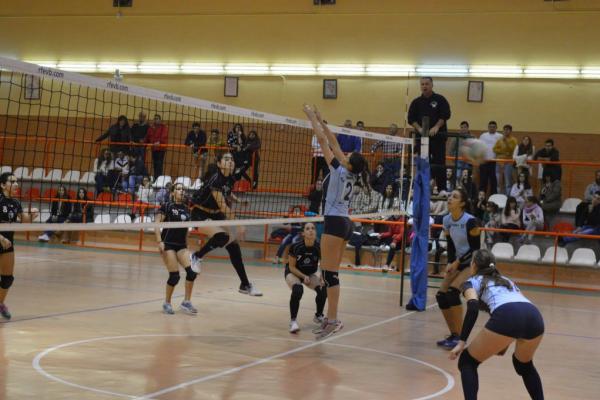 241_20151204_1321030733