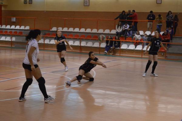 243_20151204_1892331834