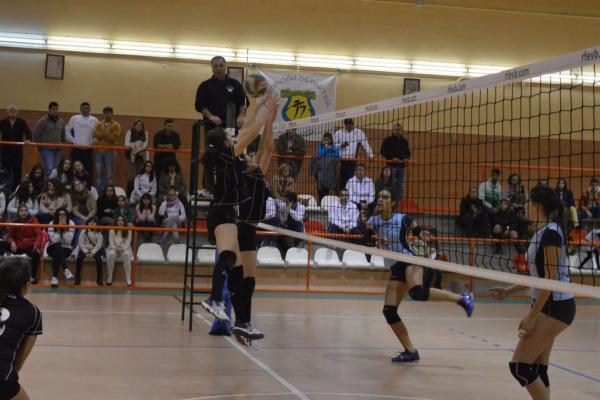 245_20151204_1690691086