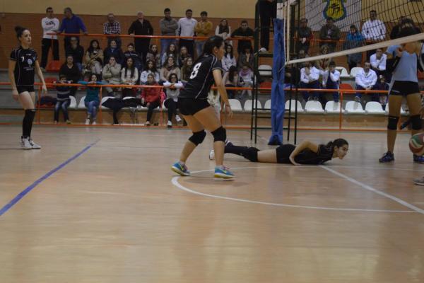 248_20151204_1834698679