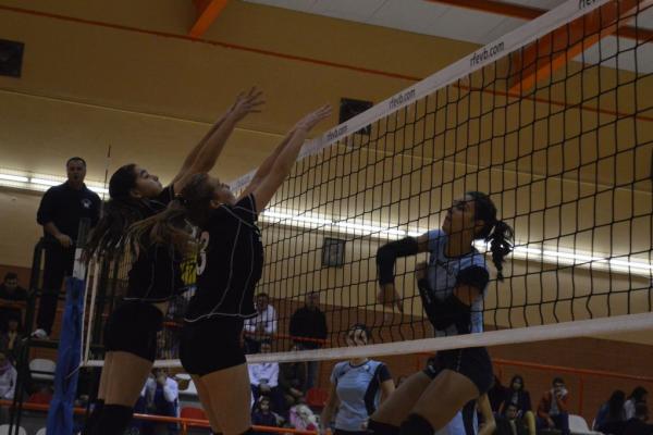 252_20151204_1410239571