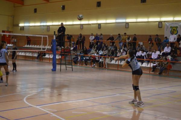 253_20151204_1564659974