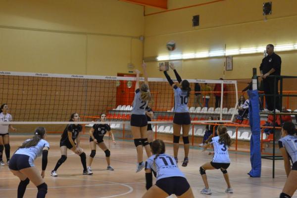 254_20151204_1119006787