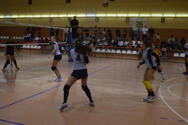 259_20151204_1679052520